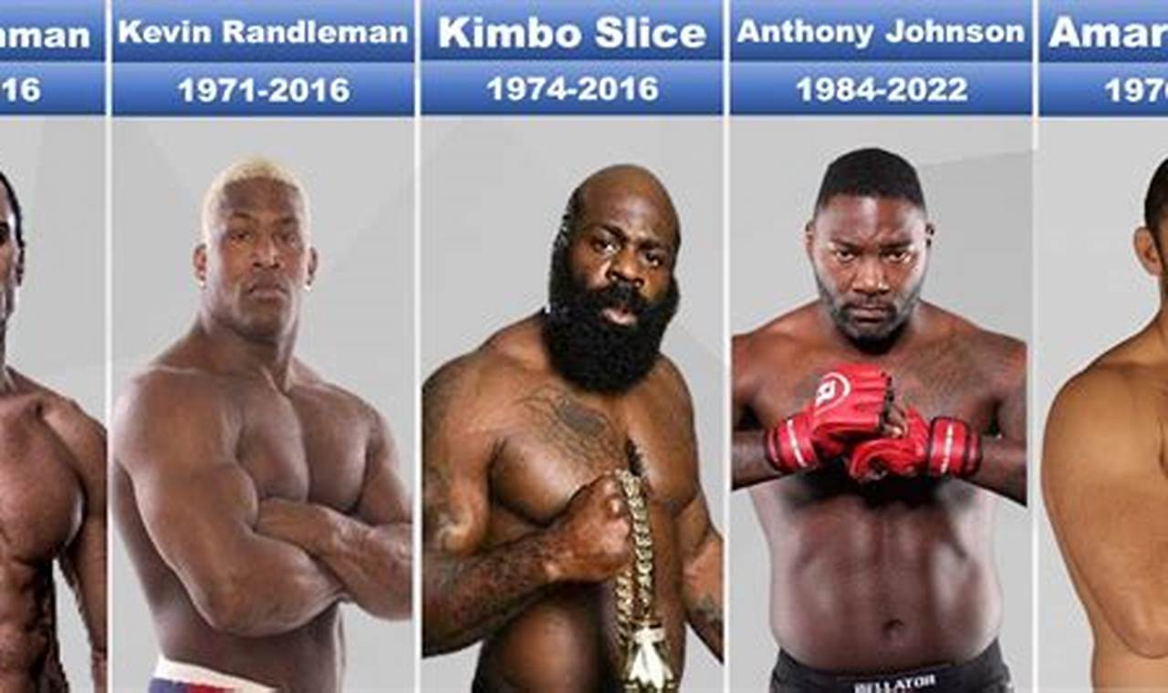 MMA Fighter Deaths: A Sad Statistic | Ultimate Guide to MMA: Training, Techniques, and Top Fighters in The World