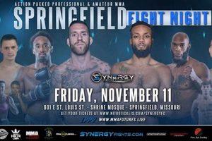 Springfield Mma | Ultimate Guide to MMA: Training, Techniques, and Top Fighters in The World