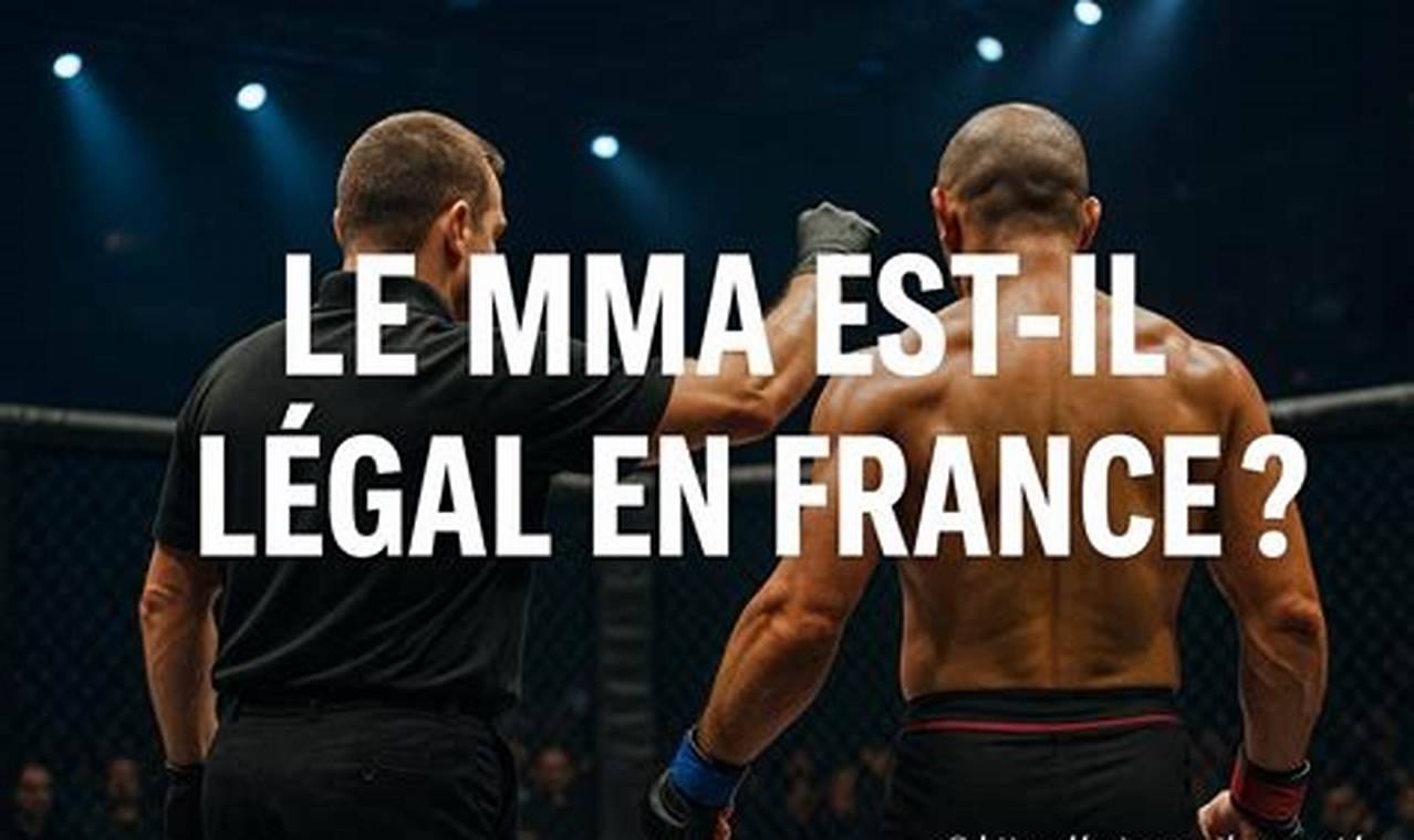 Best MMA Fights in France: Watch & Bet | Ultimate Guide to MMA: Training, Techniques, and Top Fighters in The World