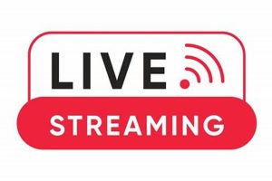 Pro MMA Fighter Julius Walker: Stats & Bio | Ultimate Guide to MMA: Training, Techniques, and Top Fighters in The World