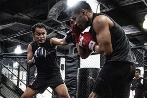 Ultimate MMA Sparring Guide for Fighters | Ultimate Guide to MMA: Training, Techniques, and Top Fighters in The World