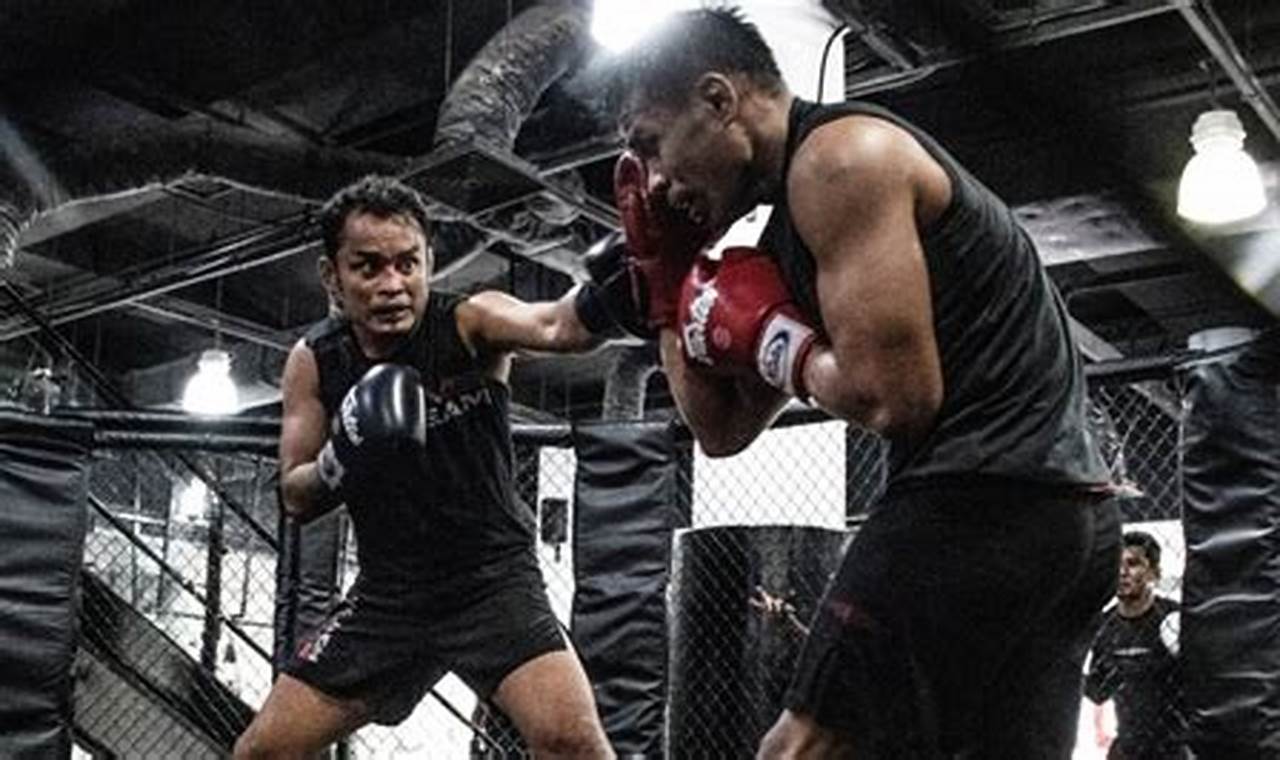 Ultimate MMA Sparring Guide for Fighters | Ultimate Guide to MMA: Training, Techniques, and Top Fighters in The World