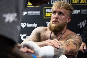 Is Jake Paul A Mma Fighter | Ultimate Guide to MMA: Training, Techniques, and Top Fighters in The World