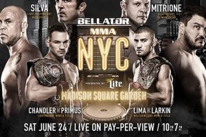Mma Nyc Events | Ultimate Guide to MMA: Training, Techniques, and Top Fighters in The World