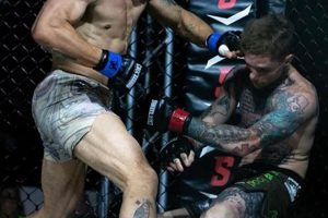 Top Boston MMA Fighters: Best Gyms & Training | Ultimate Guide to MMA: Training, Techniques, and Top Fighters in The World