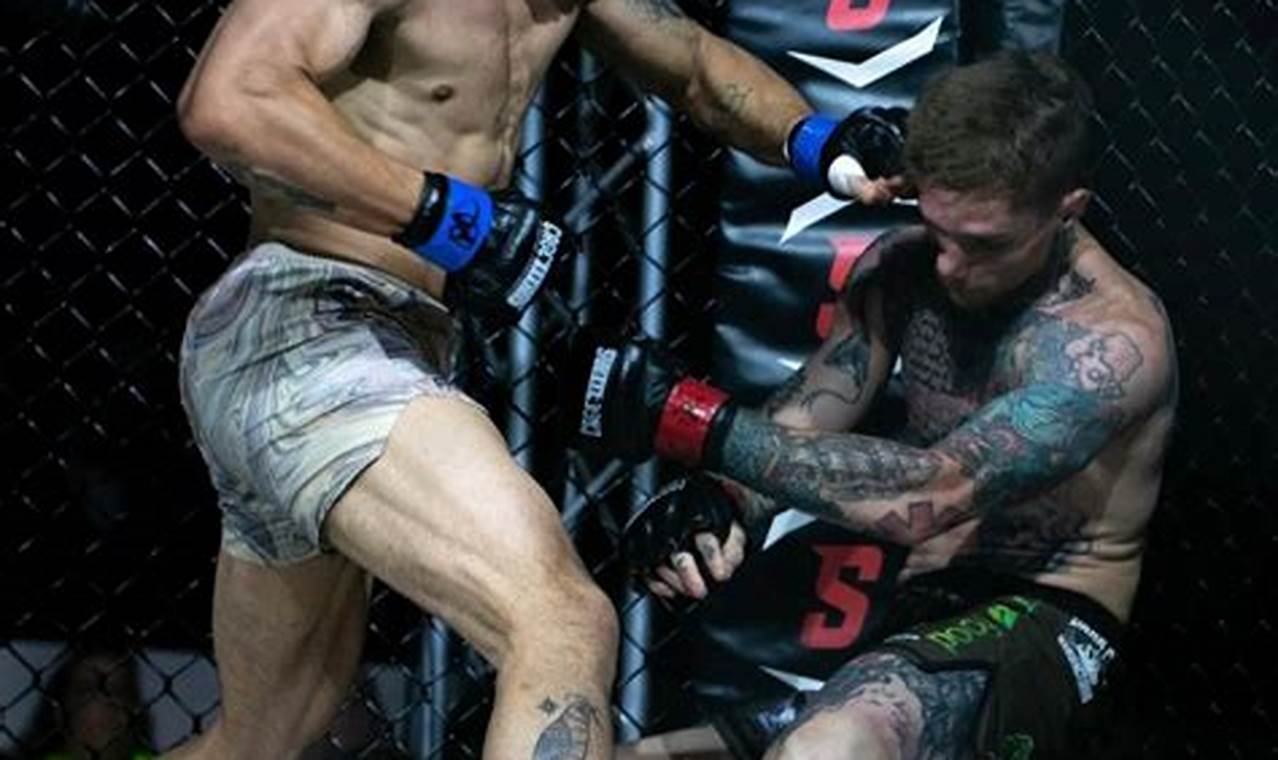 Top Boston MMA Fighters: Best Gyms & Training | Ultimate Guide to MMA: Training, Techniques, and Top Fighters in The World
