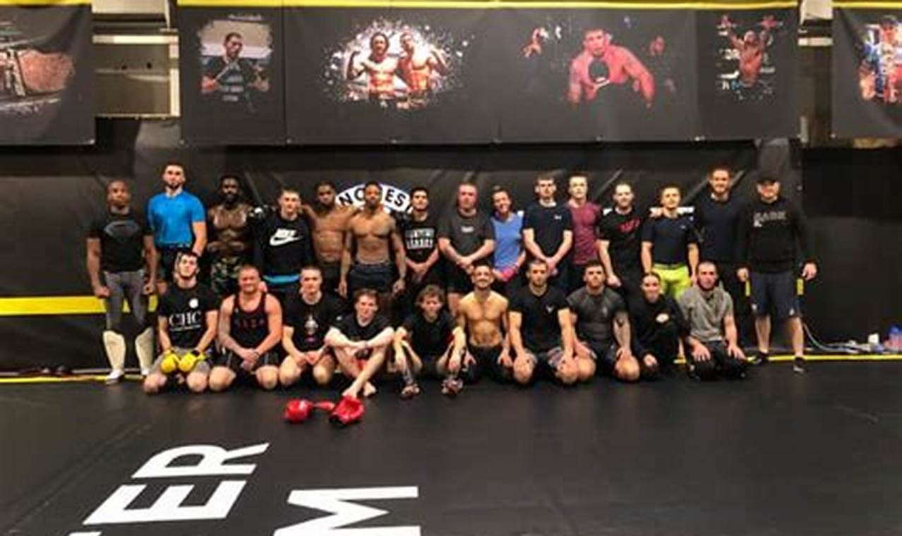 Top MMA Teams: Find Your Perfect Fit | Ultimate Guide to MMA: Training, Techniques, and Top Fighters in The World