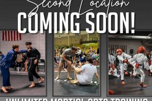 Find Your Pure MMA Rockaway Class Schedule &amp; Train Now | Ultimate Guide to MMA: Training, Techniques, and Top Fighters in The World