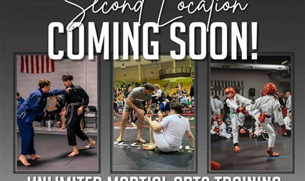 Find Your Pure MMA Rockaway Class Schedule &amp; Train Now | Ultimate Guide to MMA: Training, Techniques, and Top Fighters in The World