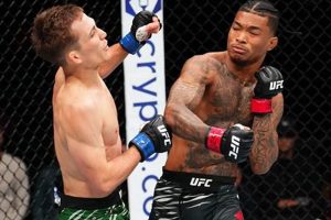 Pro MMA Fighter Malcolm Wellmaker: Stats & Bio | Ultimate Guide to MMA: Training, Techniques, and Top Fighters in The World