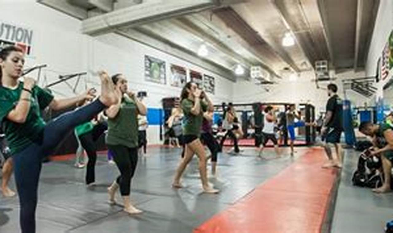 Best MMA Gyms & Training in Miami, Florida Ultimate Guide to MMA: Training, Techniques, and Top Fighters in The World Best MMA Gyms & Training in Miami, Florida | Ultimate Guide to MMA: Training, Techniques, and Top Fighters in The World