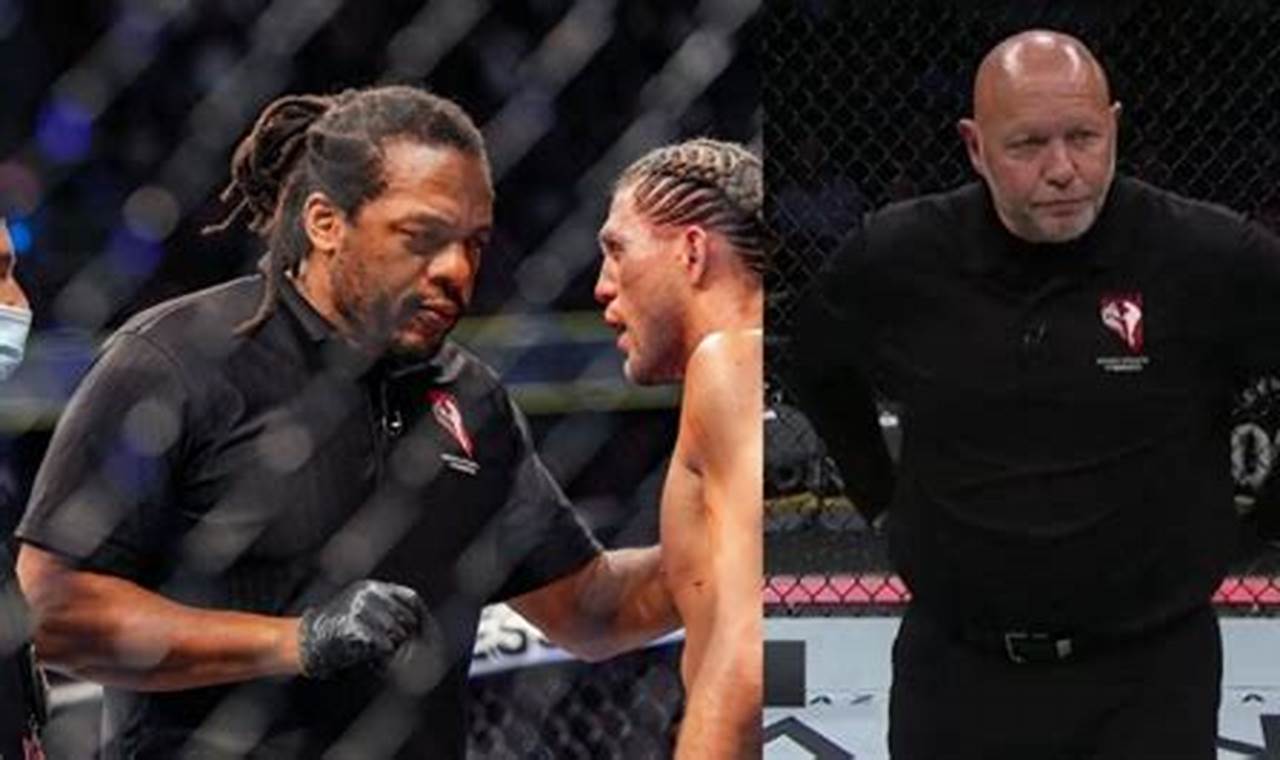 Average MMA Referee Salary: A Full Breakdown | Ultimate Guide to MMA: Training, Techniques, and Top Fighters in The World