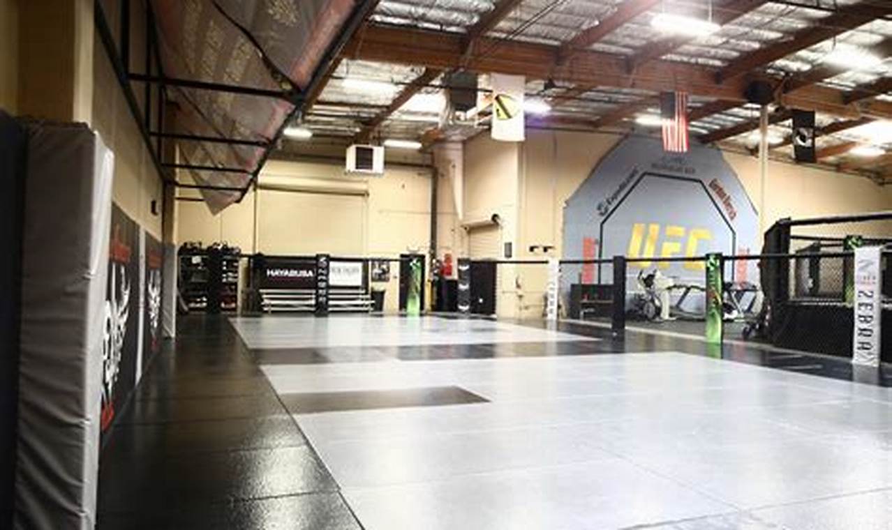 Mma Event Near Me | Ultimate Guide to MMA: Training, Techniques, and Top Fighters in The World