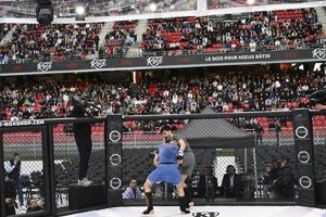 Best MMA Gym &amp; Training in Vintage Park | Ultimate Guide to MMA: Training, Techniques, and Top Fighters in The World