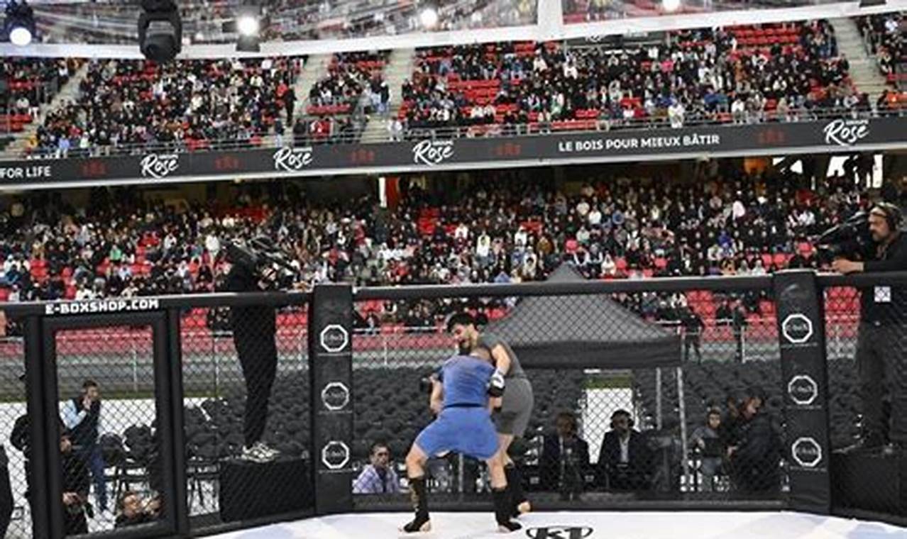 Best MMA Gym &amp; Training in Vintage Park | Ultimate Guide to MMA: Training, Techniques, and Top Fighters in The World