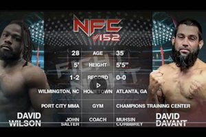 Pro MMA Fighter David Wilson: Bio & Fight Record | Ultimate Guide to MMA: Training, Techniques, and Top Fighters in The World