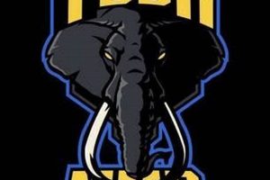 Prime Tusk MMA Combat League | Ultimate Guide to MMA: Training, Techniques, and Top Fighters in The World