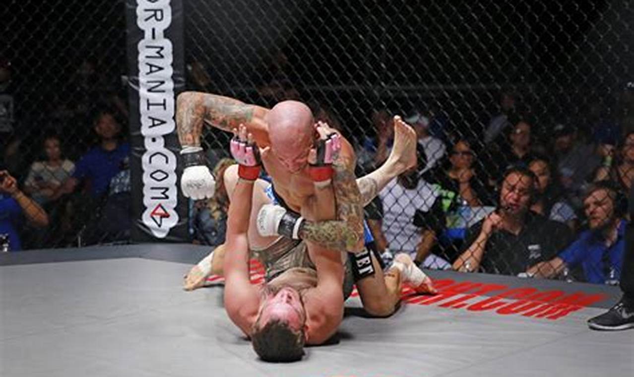 Top Utah MMA Gyms & Training | Ultimate Guide to MMA: Training, Techniques, and Top Fighters in The World