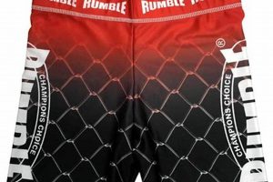 Ultimate Rumble MMA Championship | Ultimate Guide to MMA: Training, Techniques, and Top Fighters in The World