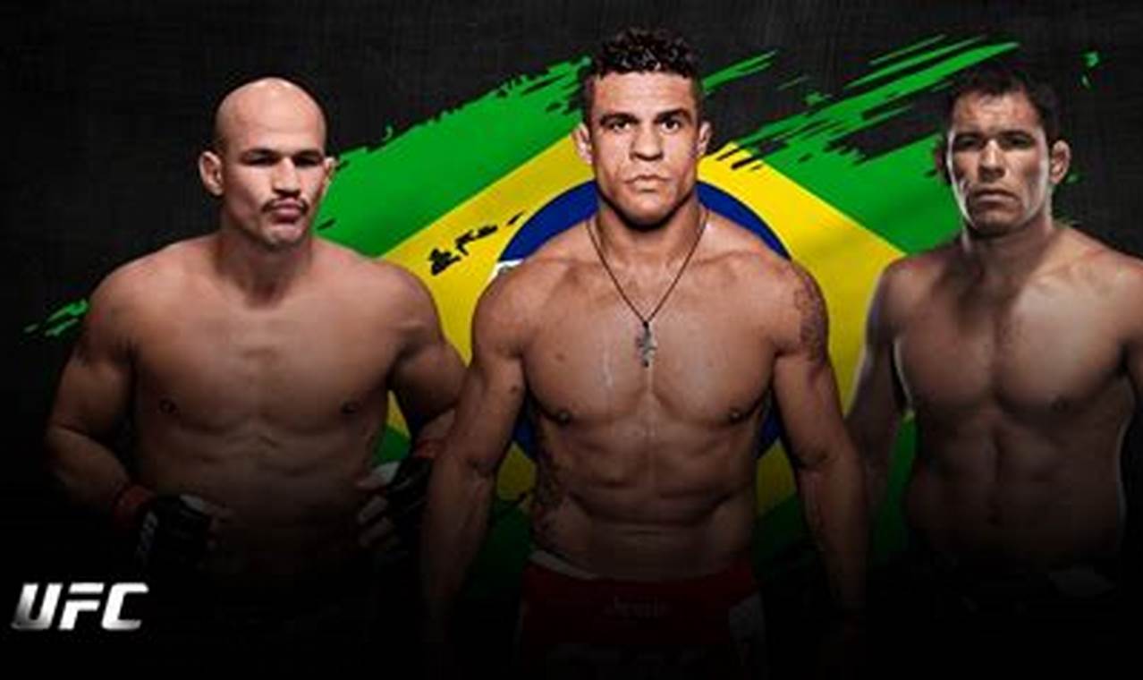Top Brazil MMA Fighters: Legends & Rising Stars | Ultimate Guide to MMA: Training, Techniques, and Top Fighters in The World