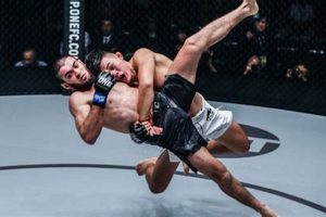 Dominate MMA Takedowns: Tips & Techniques | Ultimate Guide to MMA: Training, Techniques, and Top Fighters in The World