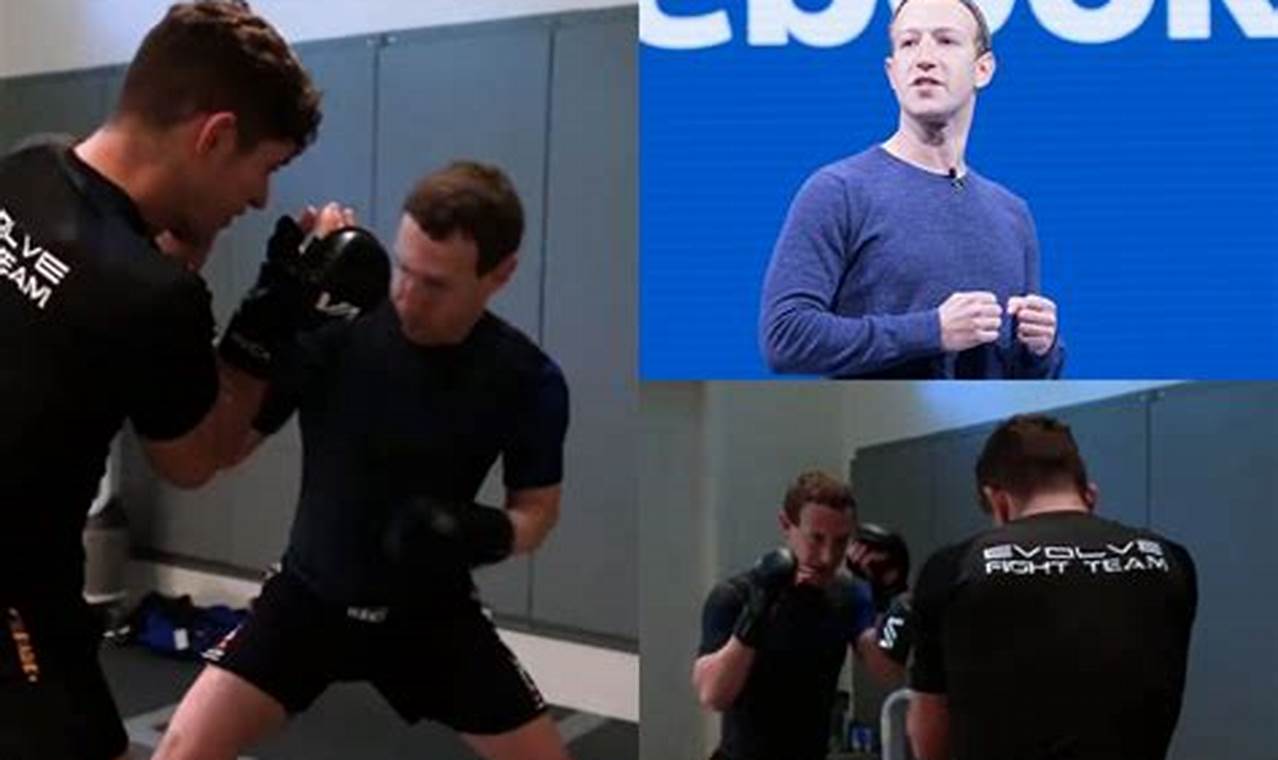 Zuckerberg MMA Fight Rumors & Speculation Ultimate Guide to MMA: Training, Techniques, and Top Fighters in The World Zuckerberg MMA Fight Rumors & Speculation | Ultimate Guide to MMA: Training, Techniques, and Top Fighters in The World