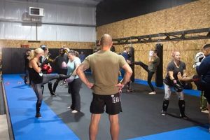 Join Team United MMA: Your MMA Family | Ultimate Guide to MMA: Training, Techniques, and Top Fighters in The World