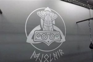 Train Like a Warrior: Mjolnir MMA Iceland Gym Ultimate Guide to MMA: Training, Techniques, and Top Fighters in The World Train Like a Warrior: Mjolnir MMA Iceland Gym | Ultimate Guide to MMA: Training, Techniques, and Top Fighters in The World