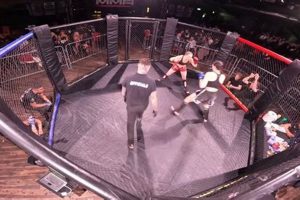 The Ultimate MMA Amy Rose Fighter Guide Ultimate Guide to MMA: Training, Techniques, and Top Fighters in The World The Ultimate MMA Amy Rose Fighter Guide | Ultimate Guide to MMA: Training, Techniques, and Top Fighters in The World