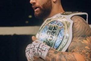 Luke Fernandez Mma Ultimate Guide to MMA: Training, Techniques, and Top Fighters in The World Luke Fernandez Mma | Ultimate Guide to MMA: Training, Techniques, and Top Fighters in The World