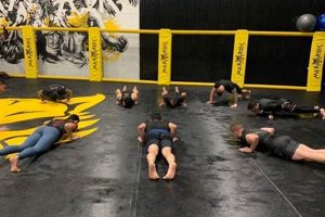 My Epic MMA Journey: From Zero to Hero Ultimate Guide to MMA: Training, Techniques, and Top Fighters in The World My Epic MMA Journey: From Zero to Hero | Ultimate Guide to MMA: Training, Techniques, and Top Fighters in The World