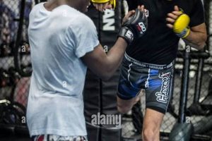 Ultimate MMA Fighter Training Guide | Ultimate Guide to MMA: Training, Techniques, and Top Fighters in The World