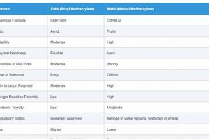 Best EMA vs MMA Monomer: Guide &amp; Differences | Ultimate Guide to MMA: Training, Techniques, and Top Fighters in The World