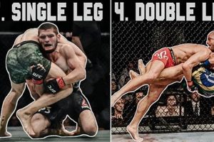 Dominate MMA: Mastering Takedowns for Victory | Ultimate Guide to MMA: Training, Techniques, and Top Fighters in The World