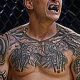 Ultimate Guide to Cub Swanson MMA | Ultimate Guide to MMA: Training, Techniques, and Top Fighters in The World