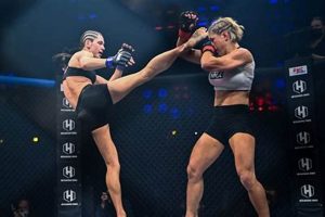 Ultimate MMA Sport Training Guide Ultimate Guide to MMA: Training, Techniques, and Top Fighters in The World Ultimate MMA Sport Training Guide | Ultimate Guide to MMA: Training, Techniques, and Top Fighters in The World