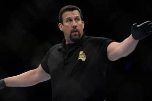 The Ultimate Guide to MMA Refs: Rules & Responsibilities | Ultimate Guide to MMA: Training, Techniques, and Top Fighters in The World