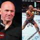 Mma News Latest | Ultimate Guide to MMA: Training, Techniques, and Top Fighters in The World