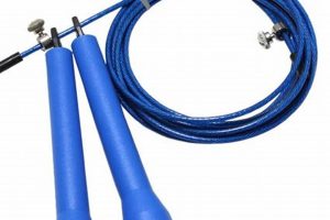 Maximize MMA Performance: MMA-Cor Core Training | Ultimate Guide to MMA: Training, Techniques, and Top Fighters in The World