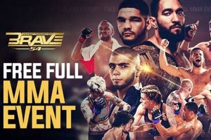 Watch Full Free MMA Fights Online: HD Streams | Ultimate Guide to MMA: Training, Techniques, and Top Fighters in The World