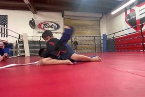 The Rise of Stand-Alone MMA Events | Ultimate Guide to MMA: Training, Techniques, and Top Fighters in The World