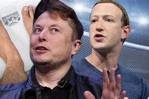 Elon Musk vs. Zuckerberg MMA Showdown? | Ultimate Guide to MMA: Training, Techniques, and Top Fighters in The World