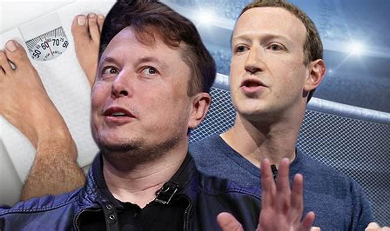 Elon Musk vs. Zuckerberg MMA Showdown? | Ultimate Guide to MMA: Training, Techniques, and Top Fighters in The World