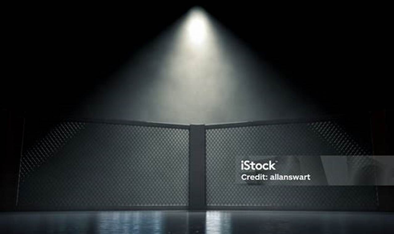 The Ultimate Guide to MMA Corner Strategies | Ultimate Guide to MMA: Training, Techniques, and Top Fighters in The World