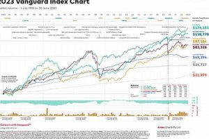 Vanguard MMA Interest Rates: A 2024 Guide | Ultimate Guide to MMA: Training, Techniques, and Top Fighters in The World