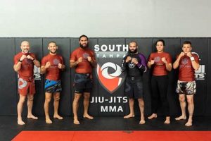 Best South Tampa Jiu-Jitsu & MMA Gyms | Ultimate Guide to MMA: Training, Techniques, and Top Fighters in The World