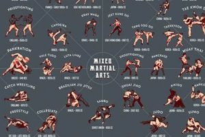 Dominate MMA: Key Positions & Techniques Ultimate Guide to MMA: Training, Techniques, and Top Fighters in The World Dominate MMA: Key Positions & Techniques | Ultimate Guide to MMA: Training, Techniques, and Top Fighters in The World