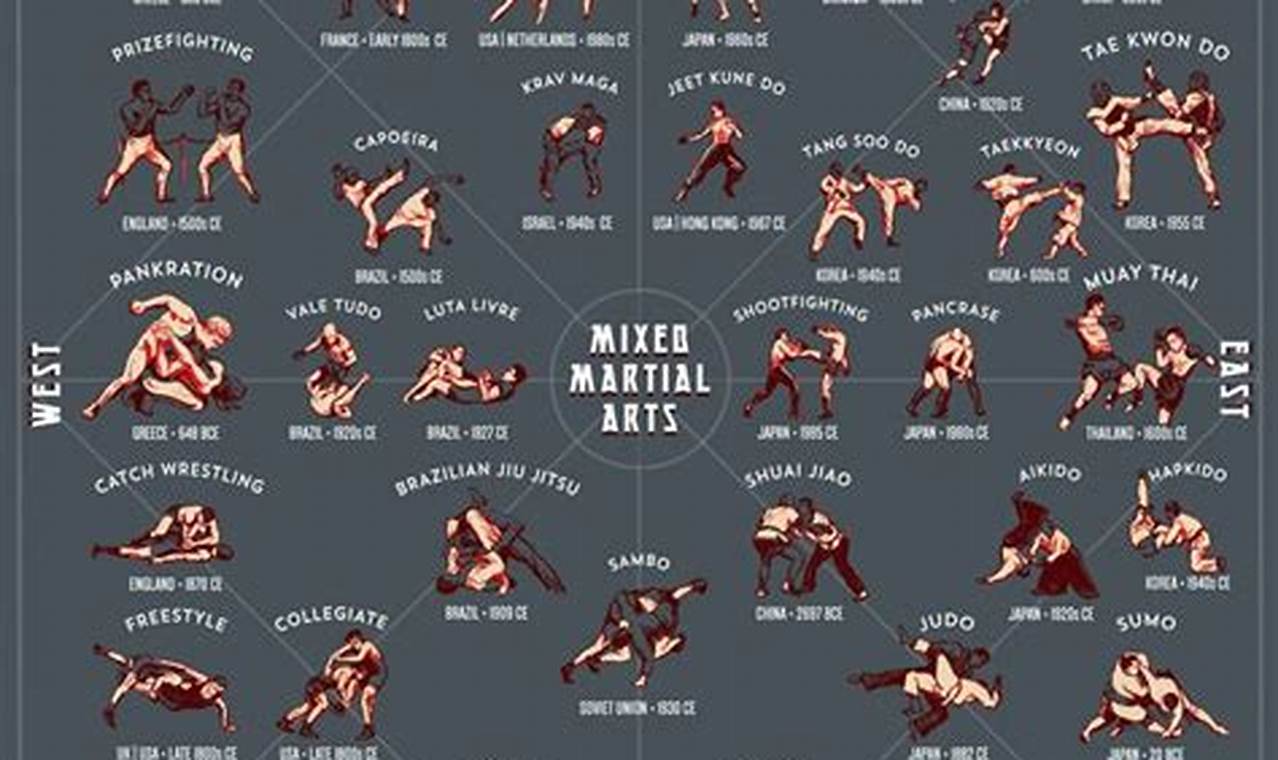 Dominate MMA: Key Positions &amp; Techniques | Ultimate Guide to MMA: Training, Techniques, and Top Fighters in The World