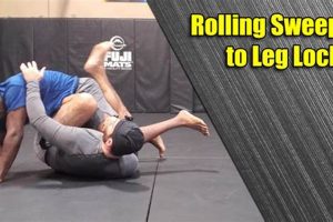 Dominate MMA with Leg Locks & Submissions | Ultimate Guide to MMA: Training, Techniques, and Top Fighters in The World