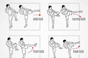 Mma Moves | Ultimate Guide to MMA: Training, Techniques, and Top Fighters in The World